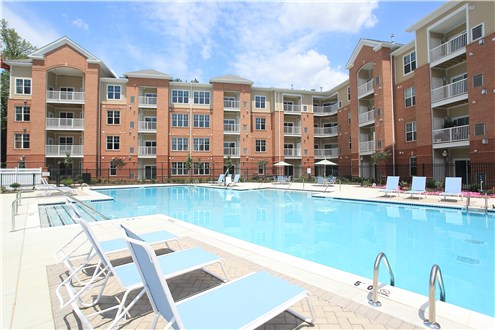 Sparkling Swimming Pool Sparkling Swimming Pool