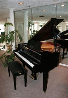 Elegant Piano Elegant Piano