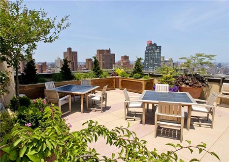 Roof Top Views Roof Top Views