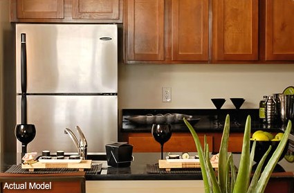 Designer Kitchen Designer Kitchen