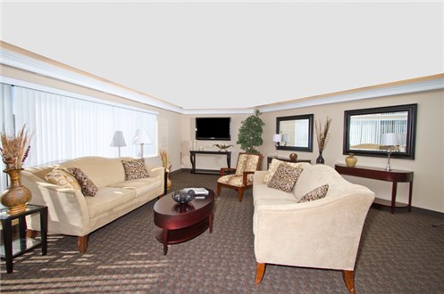 Large Living Rooms Large Living Rooms
