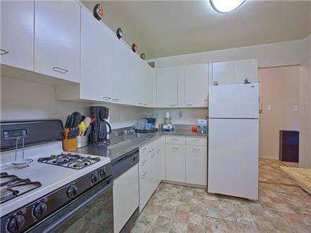Falls Church, VA Apartments - Appliances, counter and cabinet space Falls Church, VA Apartments - Appliances, counter and cabinet space